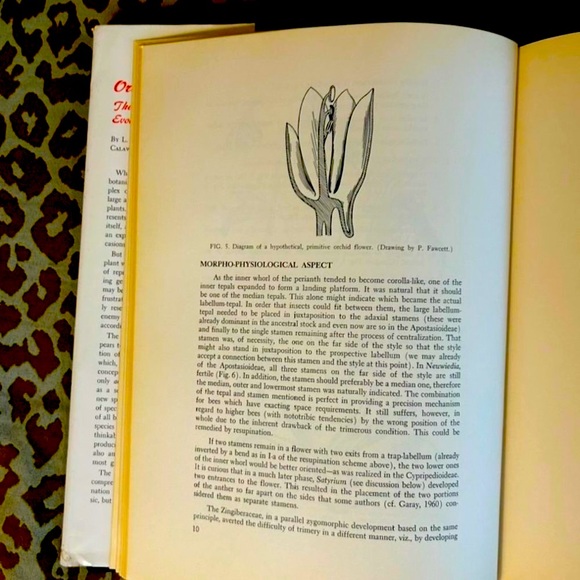 Orchid Flowers: Their Pollination and Evolution Hardbound Reference Book - Picture 10 of 12
